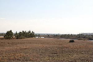 2nd image of 8890 Grand Lake Estates Dr