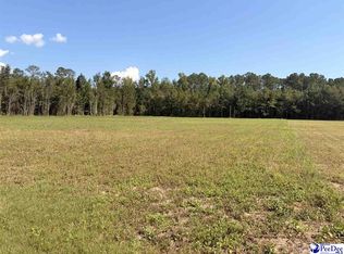 1420 Kelley Rd, Olanta, SC 29114