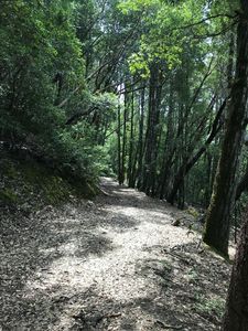 17/-ACRE S Dugins Mill Rd, Garberville, CA, 95542