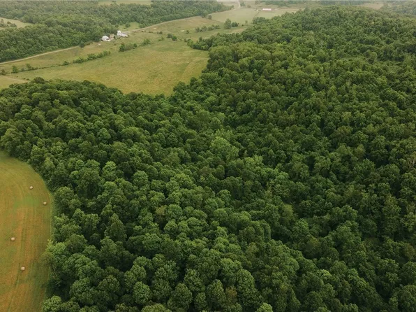 Logan Rd, Quaker City, OH 43773