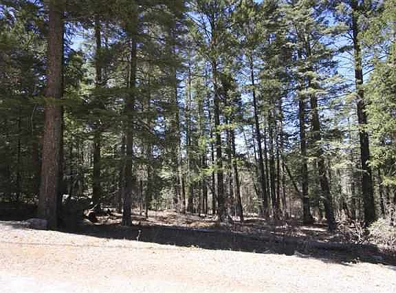 2nd image of Little Bear Lot 17