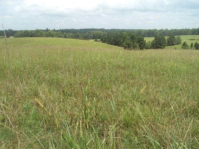 1st image of 18808 Ga Highway 219