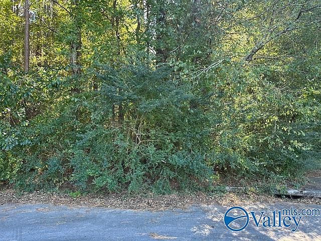 2nd image of 222 Covedale Cir