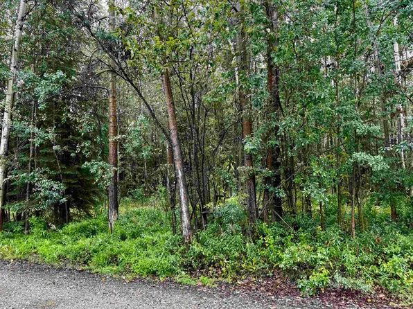 Nhn Silverleaf Ave, North Pole, AK 99705