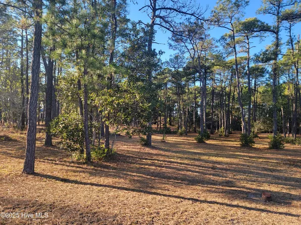 6727 Dunlowe Notch #114, Ocean Isle Beach, NC 28469