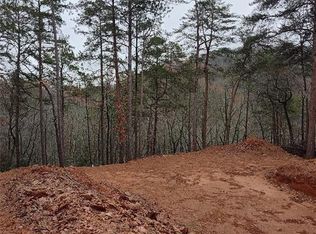 333 Packet Cts #333, Ranger, GA 30734