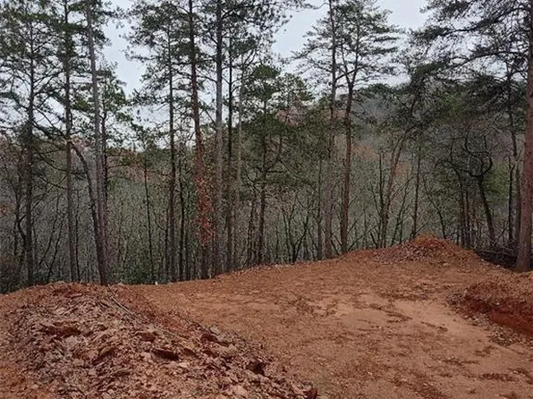 333 Packet Cts #333, Ranger, GA 30734