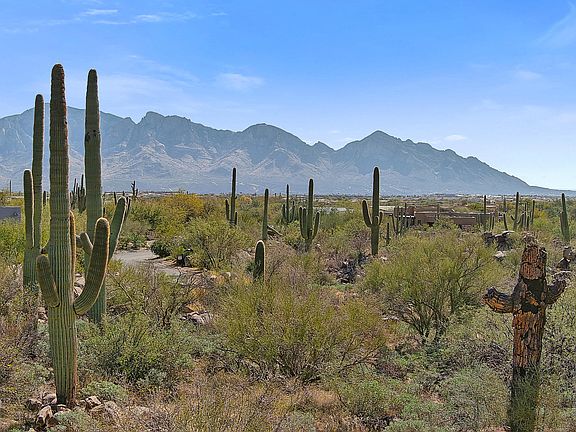 2nd image of 14502 N Giant Saguaro Pl