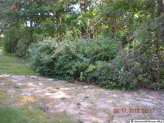 2nd image of 305 Joseph Dr