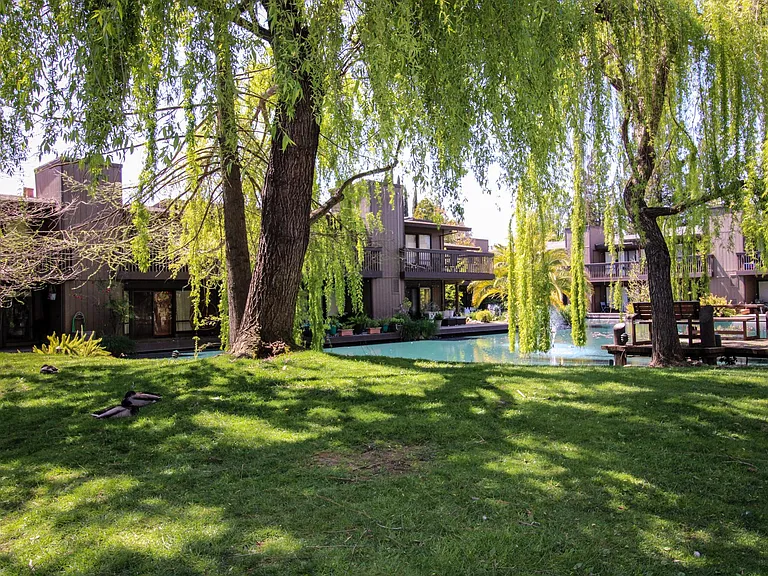 2408 Larkspur Ln #247 — Photo 34