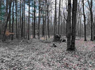 Lots 1159 1160 Pine Run, Farwell, MI 48622