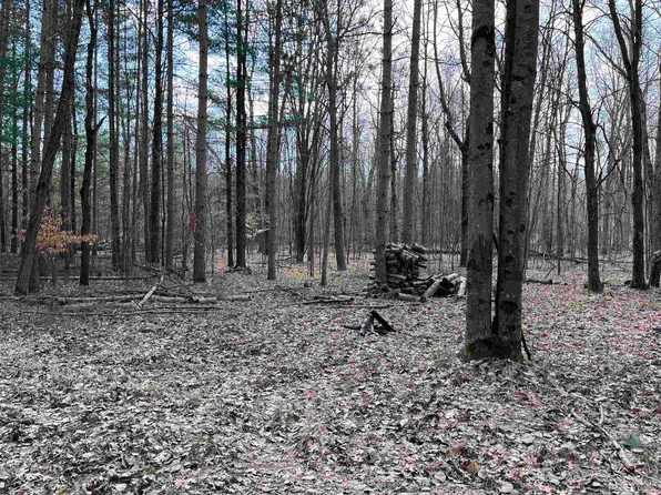 Lots 1159 1160 Pine Run, Farwell, MI 48622
