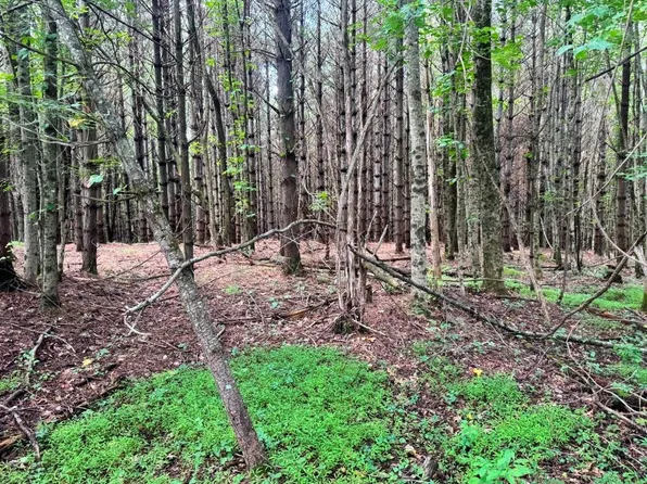 LOT 3 Kelly Rd, Fancy Gap, VA 24328