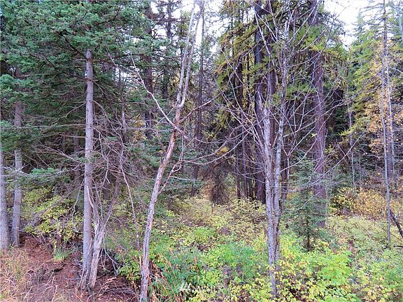 4th image of 0 TBD Hwy 20 W