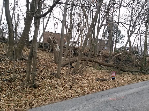 4th image of 570 Gorgas Ln