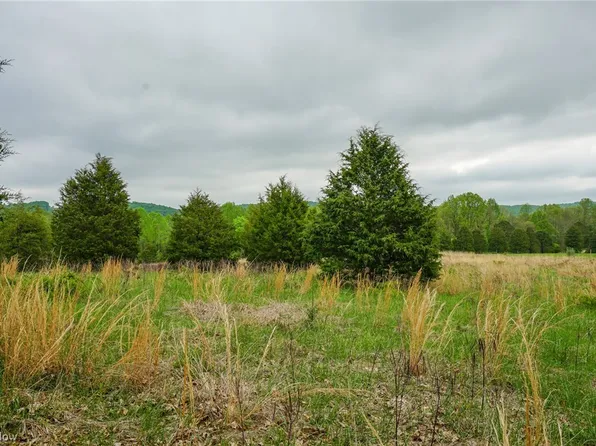 Rooster Hollow Rd, Blue Creek, OH 45616