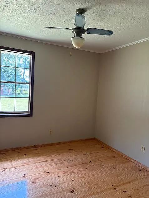 4 bed, 1287 sqft, $1,500 — Photo 2
