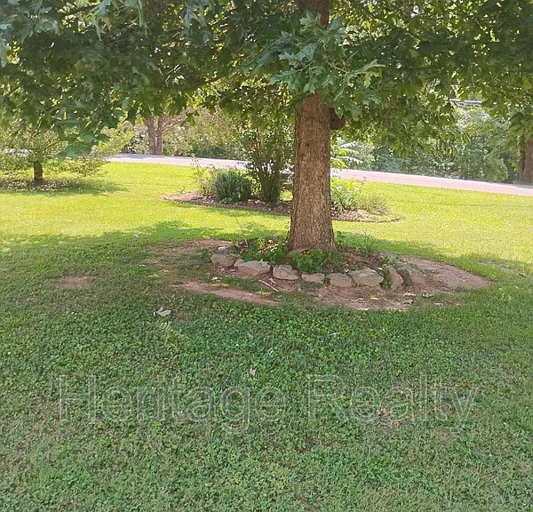2707 Lady Bug Ln — Photo 18