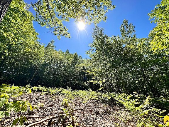 5th image of Lot #31A McDaniels Road