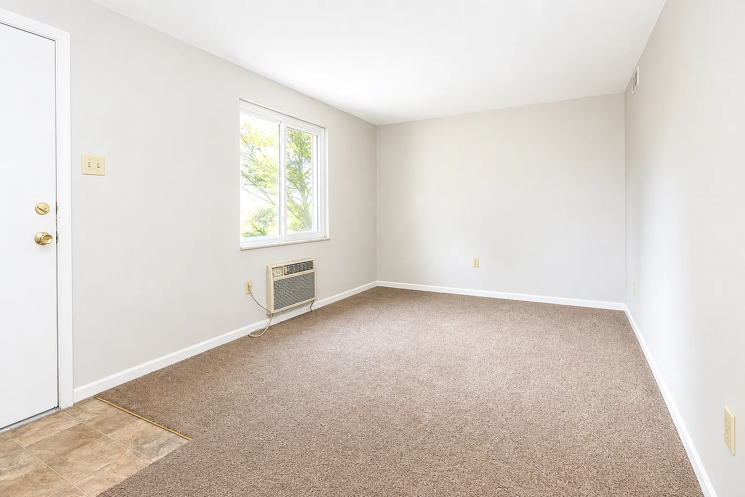1 bed, $910 — Photo 2