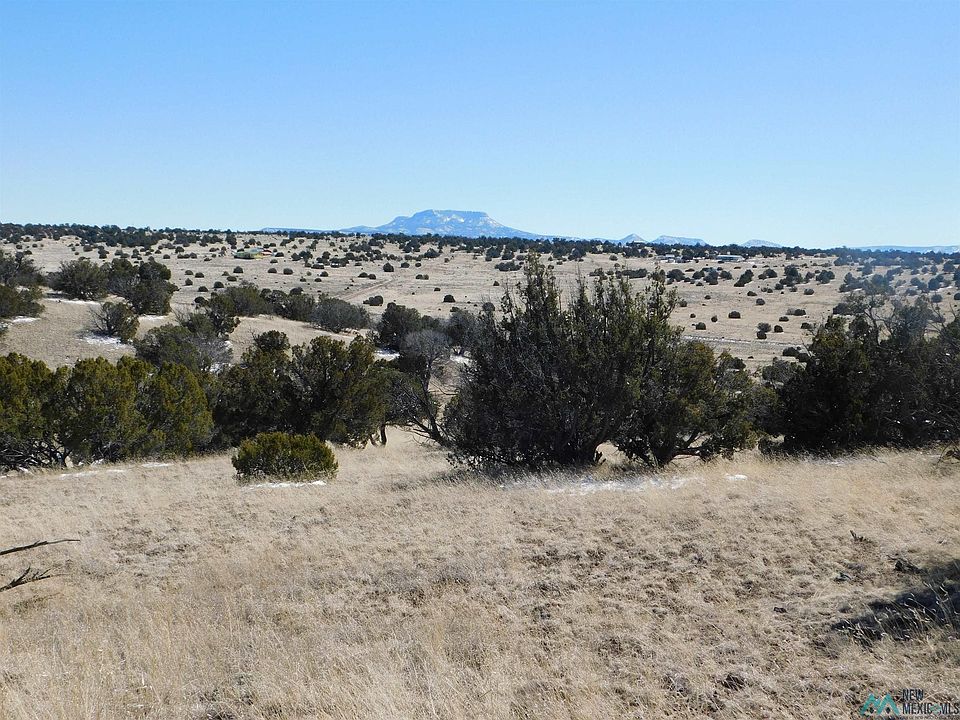 1st image of 69 Bronco Blvd