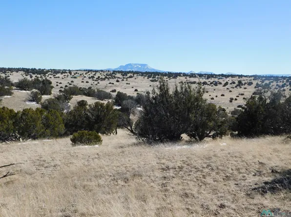 69 Bronco Blvd, Quemado, NM 87829