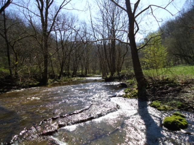 1st image of Brown Hollow Road