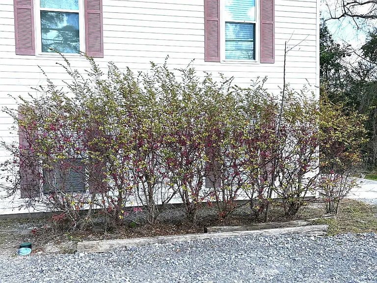 1065 Highway 1 #A — Photo 1