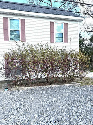 1065 Highway 1 #A Photo 1