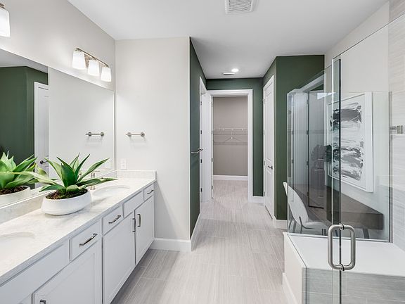 Conceptual owner s bathroom