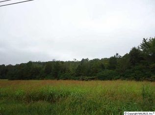 Warrenton Rd, Guntersville, AL 35976