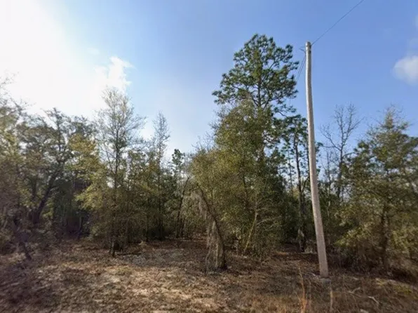 S 3rd Ave, Interlachen, FL 32148