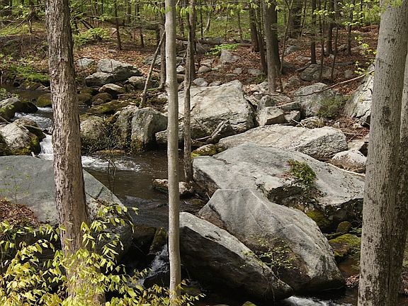 Brook right next to house