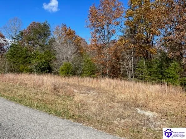 0 Tara Rd, Cub Run, KY 42729