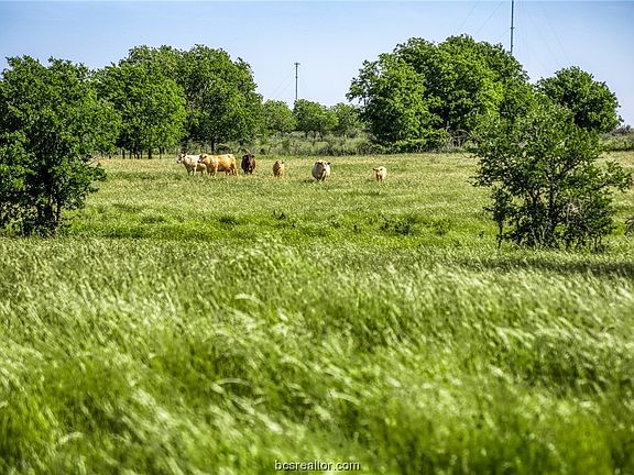 3rd image of 4630 E Highway 21