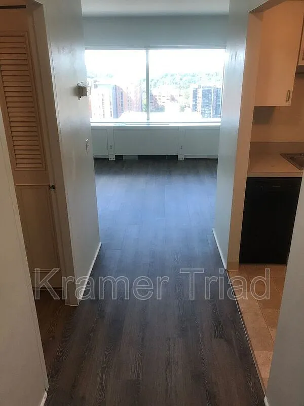 Studio, 1.0 bath, 392 sqft, $1,700 — Photo 2