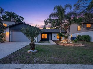 14841 Oak Vine Dr, Lutz, FL 33559