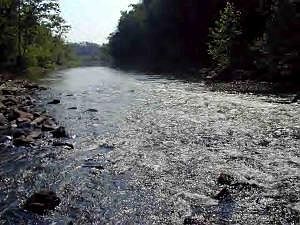1st image of Greenbriar Dr