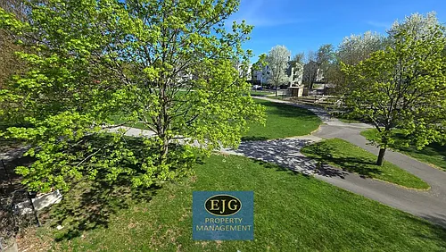 205 Pine St #213 Photo 1