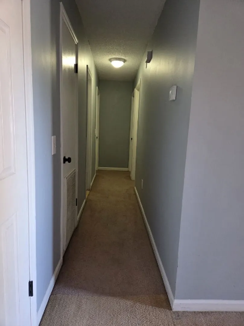 3 Bedroom 1 Bath — Photo 4
