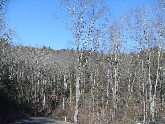 3rd image of 0 Highway 52 Hwy