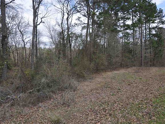 2nd image of 385 Possum Holw
