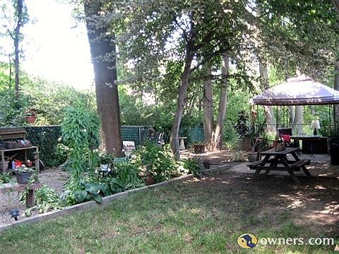 A very serene backyard