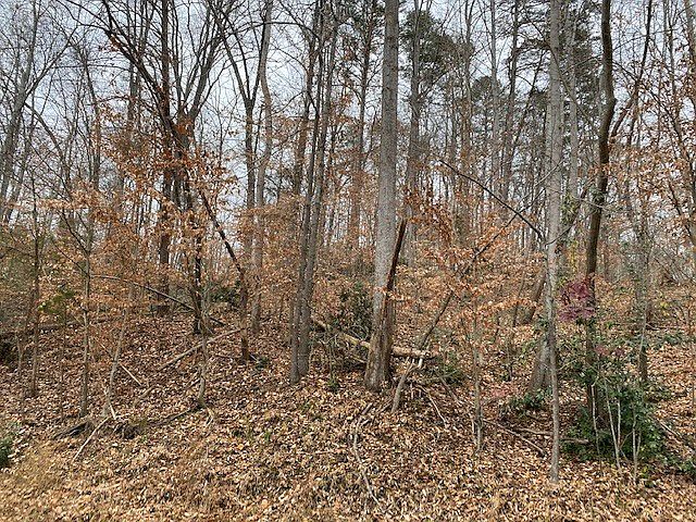 2nd image of 1203 Country Club Dr