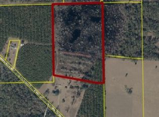 86th Ter, Wellborn, FL 32094
