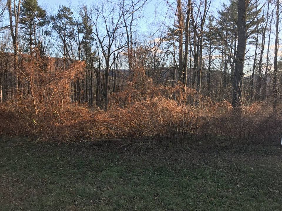 2nd image of 68 Whitetail Cir