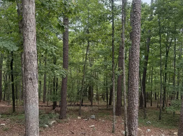 42 Gerante Way, Hot Springs Village, AR 71909
