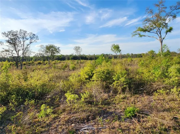 NE 106th Ter, Bronson, FL 32621