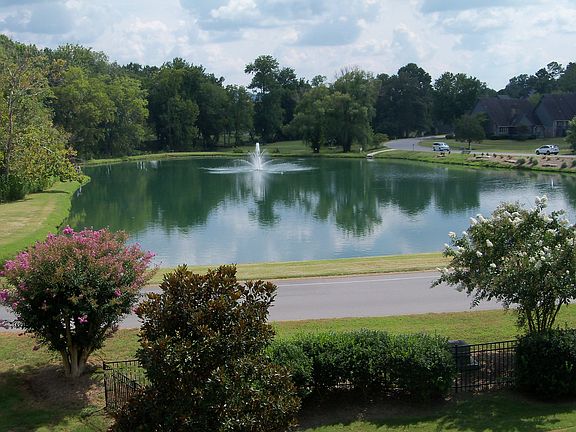 View from Master Bedroom Patio