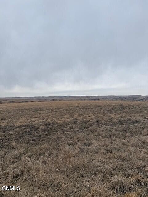 2nd image of 224 Labrador Dr